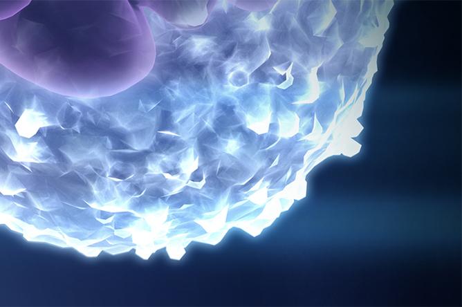 Lower part of photopheresis cells