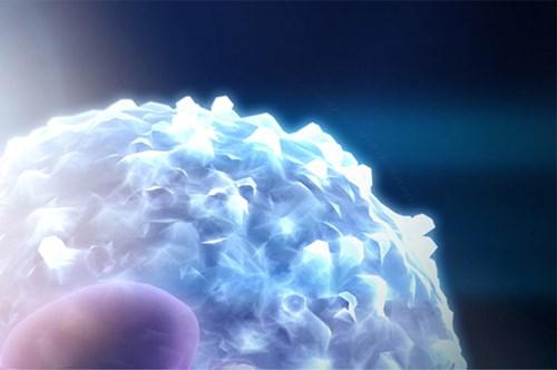 A close-up of a part of a cell in the bottom left corner with a visible part of nucleus