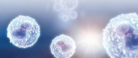 Three cells in the front of the picture with a cluster of cells further back